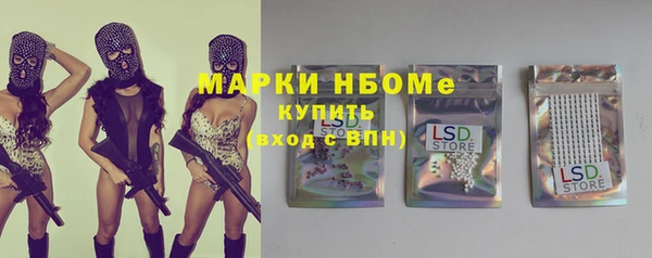 прущие грибы Пересвет