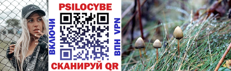 Галлюциногенные грибы Magic Shrooms  МЕГА как зайти  Шарья 
